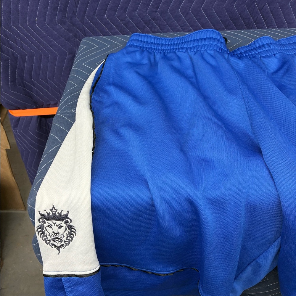 Vintage Nike LeBron James shorts. XL